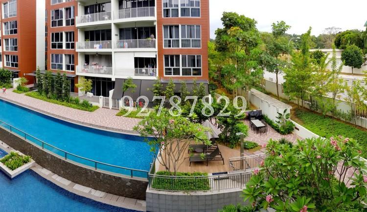 Woodhaven (D25), Condominium #171218792